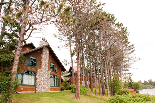 Log cabin nestled in the forest